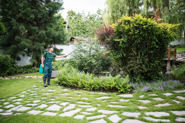 Best Pest Prevention Services  in Old Westbury, NY