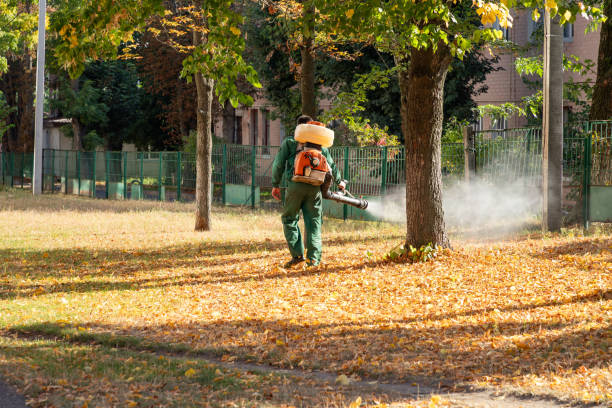 Professional Pest Control in Old Westbury, NY